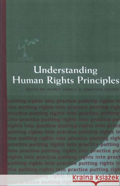 Understanding Human Rights Principles Lib Peck Jonathan Cooper Anne Owers 9781841131696 Hart Publishing (UK)