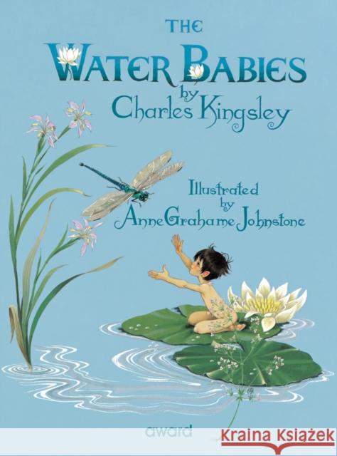 Water Babies Charles Kingsley 9781841352367 Award Publications Ltd