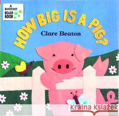 How Big is a Pig? Stella Blackstone Clare Beaton Clare Beaton 9781841489599 Barefoot Books