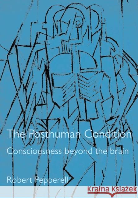 The Posthuman Condition Pepperell, Julian 9781841502908 Intellect (UK)