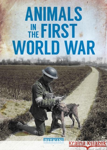 Animals in the First World War Peter Street 9781841656885