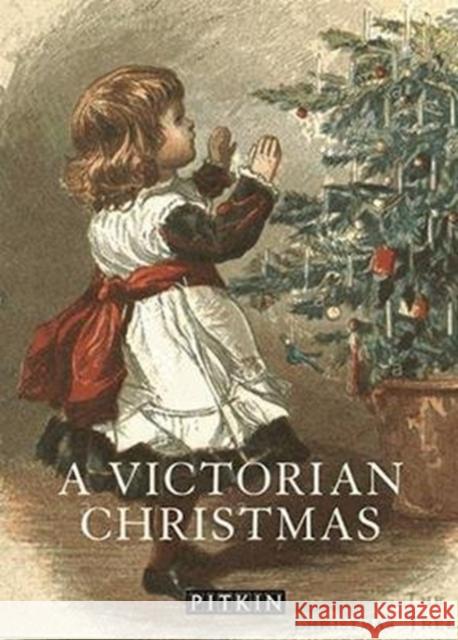 A Victorian Christmas Brian Williams 9781841658056 Pavilion Books