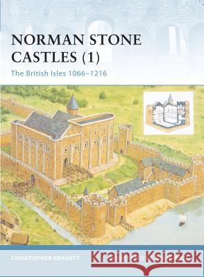 Norman Stone Castles: The British Isles 1066-1216 Gravett, Christopher 9781841766027