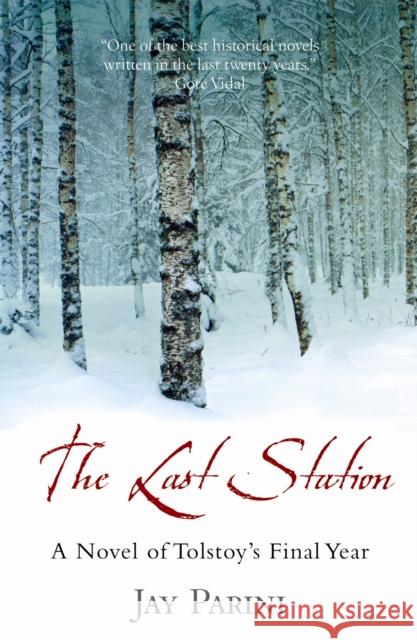 The Last Station: A Novel of Tolstoy's Final Year Jay Parini 9781841959672 Canongate Books