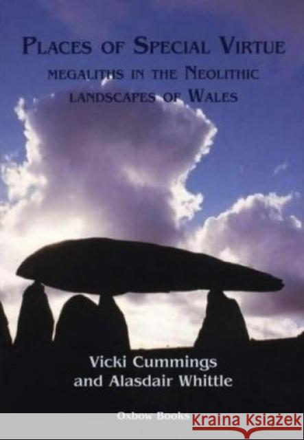 Places of Special Virtue: Megaliths in the Neolithic Landscapes of Wales Whittle, Alasdair 9781842171080 David Brown Book Company