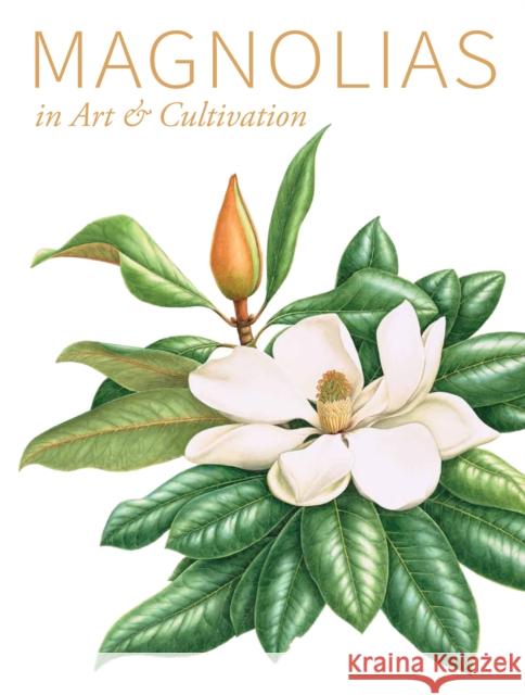 Magnolias Stephen A. Spongberg 9781842464991 Royal Botanic Gardens
