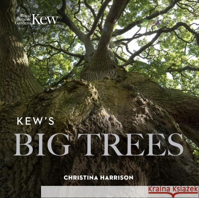 Kew’s Big Trees Christina Harrison 9781842466872 Royal Botanic Gardens Kew