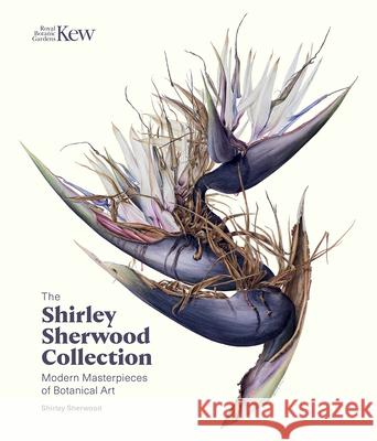 The Shirley Sherwood Collection: Botanical Art Over 30 Years Shirley Sherwood 9781842466933 Royal Botanic Gardens Kew
