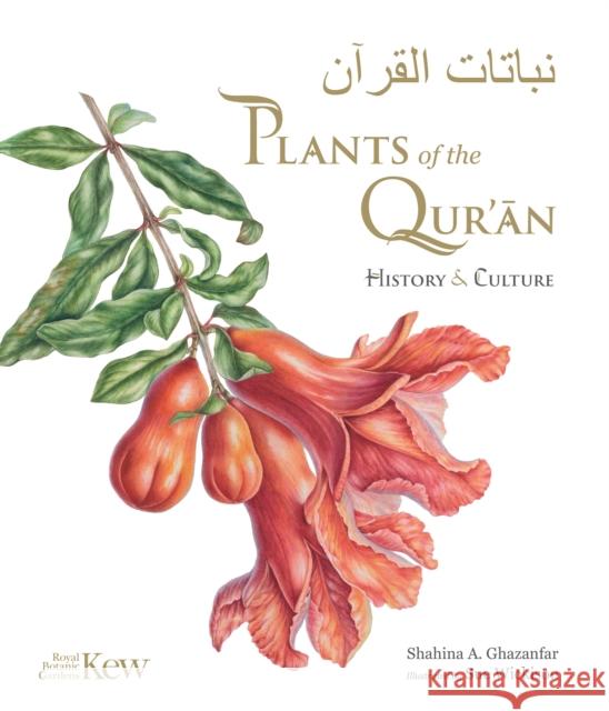 Plants of the Quran: History & Culture Shahina A. Ghazanfar 9781842467176 Royal Botanic Gardens Kew