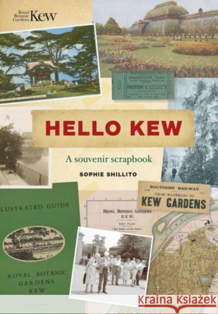 Hello Kew: A souvenir scrapbook Sophie Shillito 9781842467800 Royal Botanic Gardens