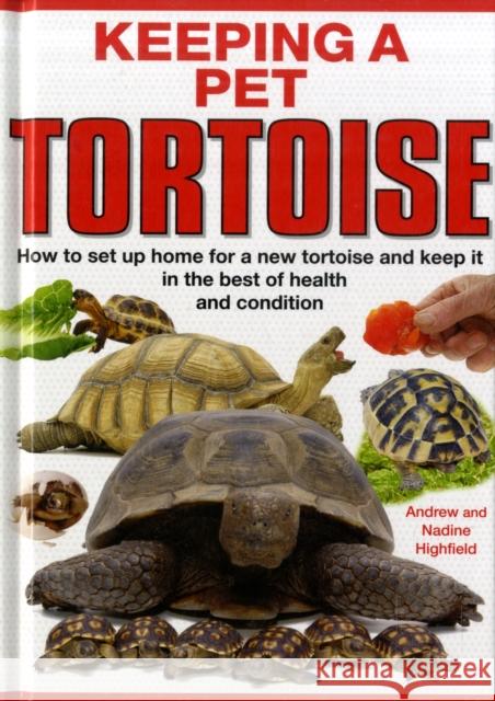 Keeping a Pet Tortoise A.C. Highfield, Nadine Highfield 9781842862131 Interpet Publishing