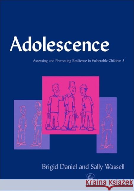 Adolescence : Assessing and Promoting Resilience in Vulnerable Children 3 Brigid P. Daniel Sally Wassell 9781843100195