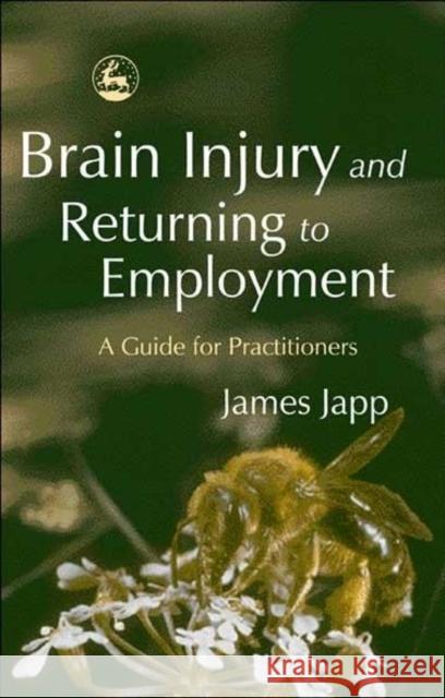 Brain Injury and Returning to Employment: A Guide for Practitioners Japp, James 9781843102922