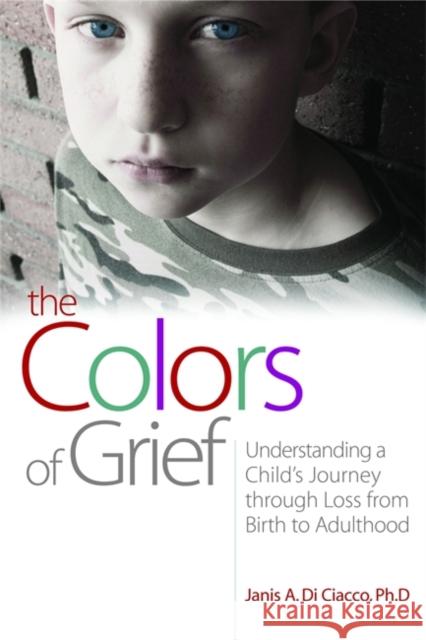 The Colors of Grief: Understanding a Child's Journey Through Loss from Birth to Adulthood Di Ciacco, Janis Di 9781843108863 Jessica Kingsley Publishers