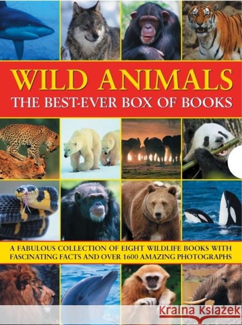 Wild Animals Best Ever Box of Books Barbara Taylor 9781843227984