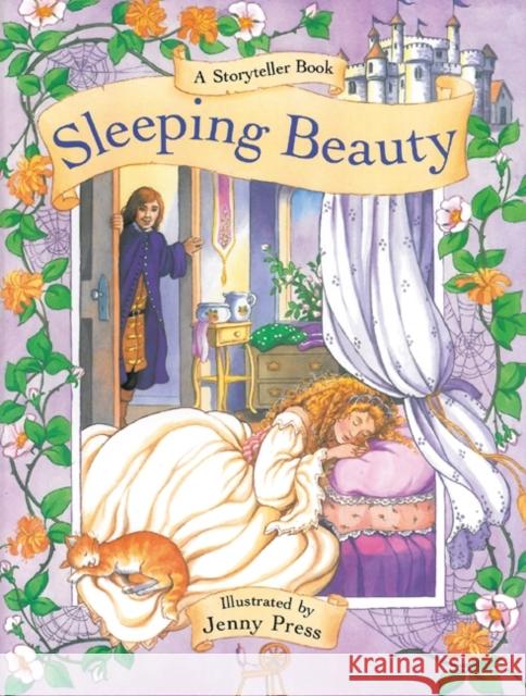 Sleeping Beauty: A Storyteller Book  9781843229100 0