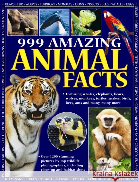 999 Amazing Animal Facts Armadillo 9781843229896 Anness Publishing