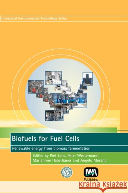 Biofuels for Fuel Cells P. Lens P. Westermann A. Haberbauer 9781843390923 IWA Publishing (Intl Water Assoc)