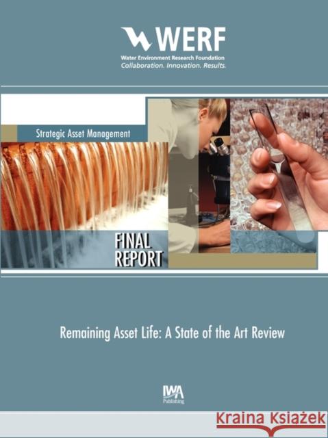 Remaining Asset Life: A State of the Art Review David Marlow, Paul Davis, Dung Trans, David Beale, Stewart Burn, Anthony Urquhart 9781843393306 IWA Publishing