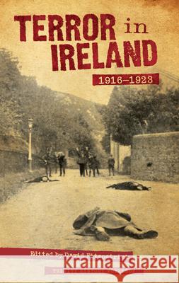 Terror In Ireland: 1916-1923 David Fitzpatrick 9781843511991