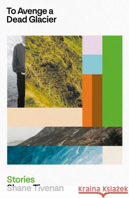 To Avenge a Dead Glacier Shane Tivenan 9781843519171 The Lilliput Press Ltd