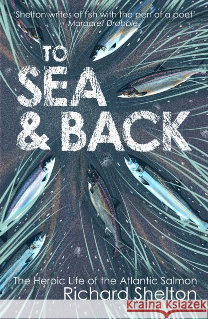 To Sea and Back: The Heroic Life of the Atlantic Salmon Richard Shelton 9781843547853