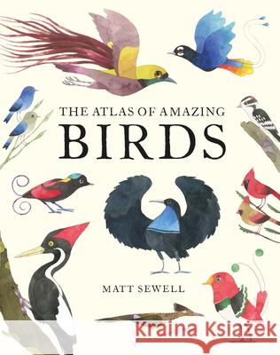 Atlas of Amazing Birds Matt Sewell 9781843654063 HarperCollins Publishers