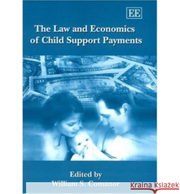 Law and Economics of Child Support Payments  9781843761211 Edward Elgar Publishing Ltd