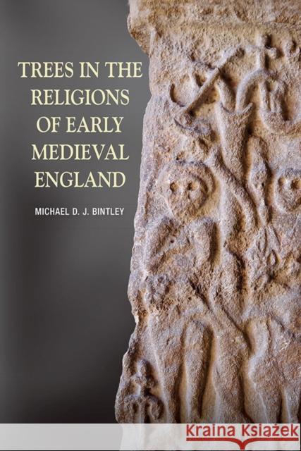 Trees in the Religions of Early Medieval England Michael D. J. Bintley 9781843839897 Boydell Press