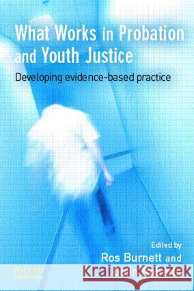 What Works in Probation and Youth Justice  9781843920595 WILLAN PUBLISHING