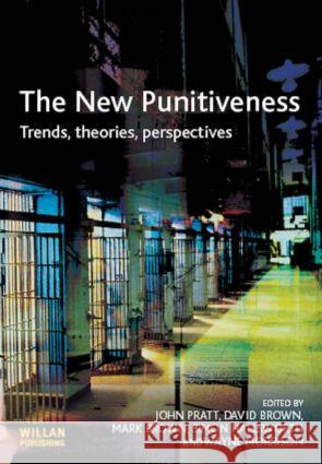 The New Punitiveness  9781843921097 WILLAN PUBLISHING