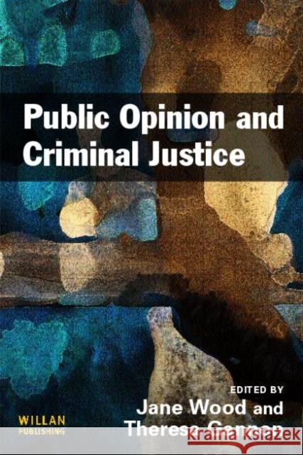Public Opinion and Criminal Justice: Context, Practice and Values Wood, Jane 9781843924005 0