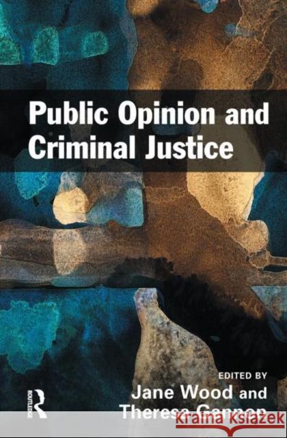 Public Opinion and Criminal Justice: Context, Practice and Values Wood, Jane 9781843924012