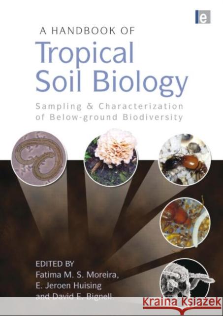 A Handbook of Tropical Soil Biology: Sampling and Characterization of Below-Ground Biodiversity Moreira, Fatima M. S. 9781844076215 Earthscan Publications