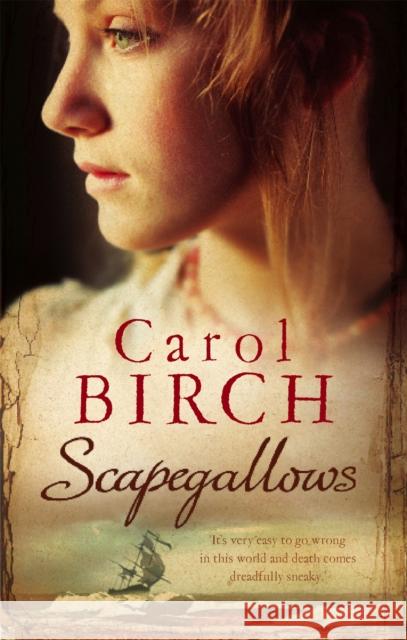 Scapegallows Carol Birch 9781844083916