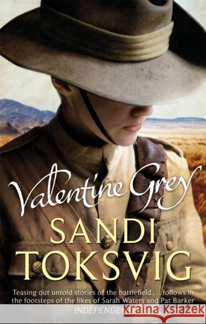 Valentine Grey Sandi Toksvig 9781844088331