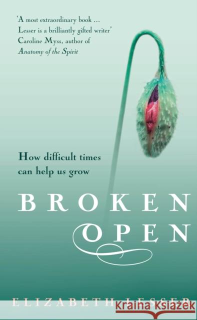 Broken Open: How difficult times can help us grow Elizabeth Lesser 9781844135615