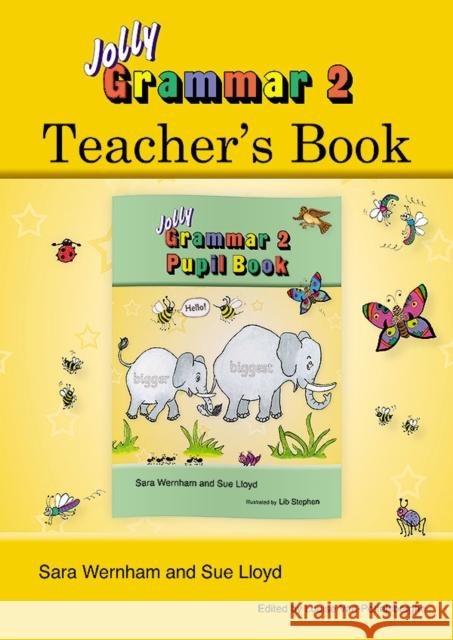 Grammar 2 Teacher's Book: In Precursive Letters (British English edition) Sara Wernham 9781844143900