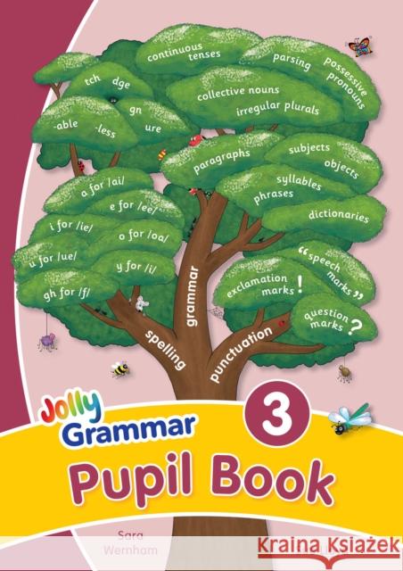 Grammar 3 Pupil Book: In Precursive Letters (British English edition) Sara Wernham Sue Lloyd Stephen Lib 9781844144051