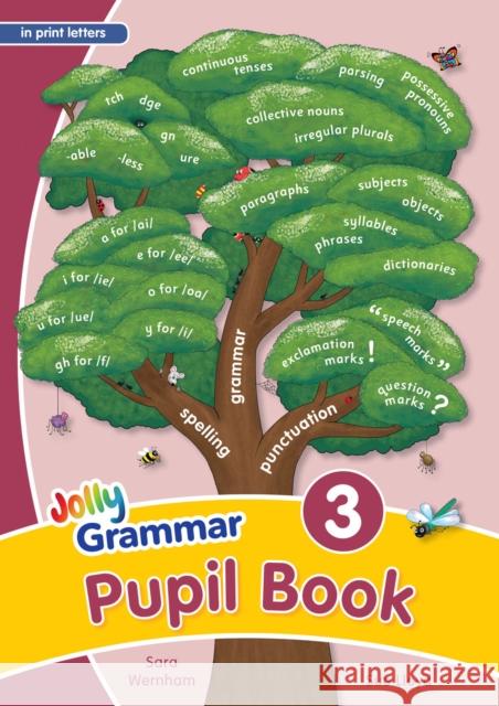 Grammar 3 Pupil Book: In Print Letters (British English edition) Sara Wernham Sue Lloyd Van-Pottelsberghe Louise 9781844144099 Jolly Learning Ltd