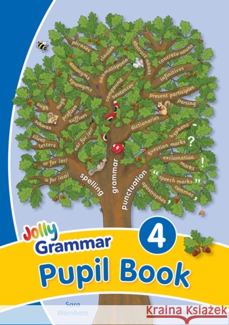 Grammar 4 Pupil Book: In Precursive Letters (British English edition) Sue Lloyd 9781844144167