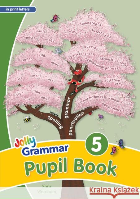 Grammar 5 Pupil Book: In Print Letters (British English edition) Sue Lloyd 9781844144839