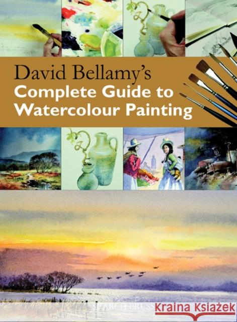 David Bellamy's Complete Guide to Watercolour Painting David Bellamy 9781844487349