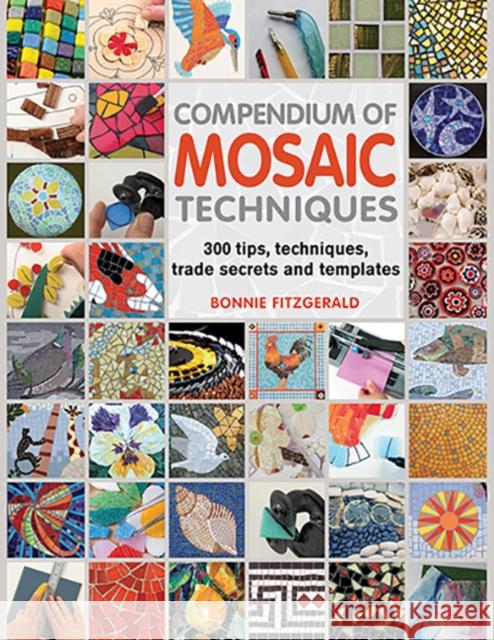 Compendium of Mosaic Techniques: 300 Tips, Techniques, Trade Secrets and Templates Bonnie Fitzgerald 9781844488049 Search Press Ltd