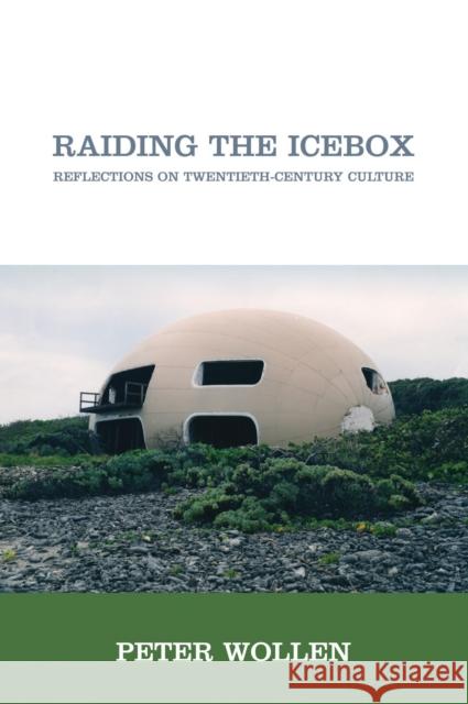 Raiding the Icebox : Reflections on Twentieth-century Culture Peter Wollen 9781844672509