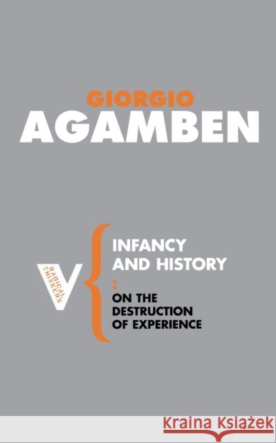 Infancy and History: On the Destruction of Experience Agamben, Giorgio 9781844675715 Verso
