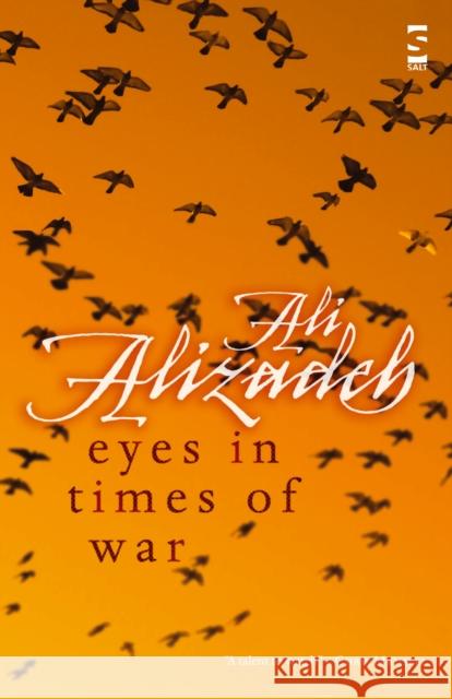 Eyes in Times of War Ali Alizadeh 9781844712878 Salt Publishing