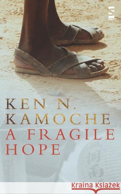 A Fragile Hope Ken N Kamoche 9781844713202