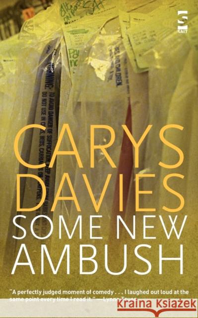 Some New Ambush Carys Davies 9781844713417 Salt Publishing