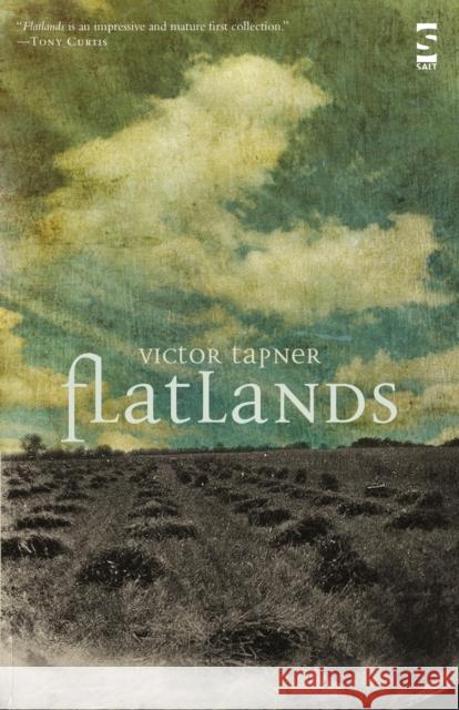 Flatlands Victor Tapner 9781844715565 Salt Publishing